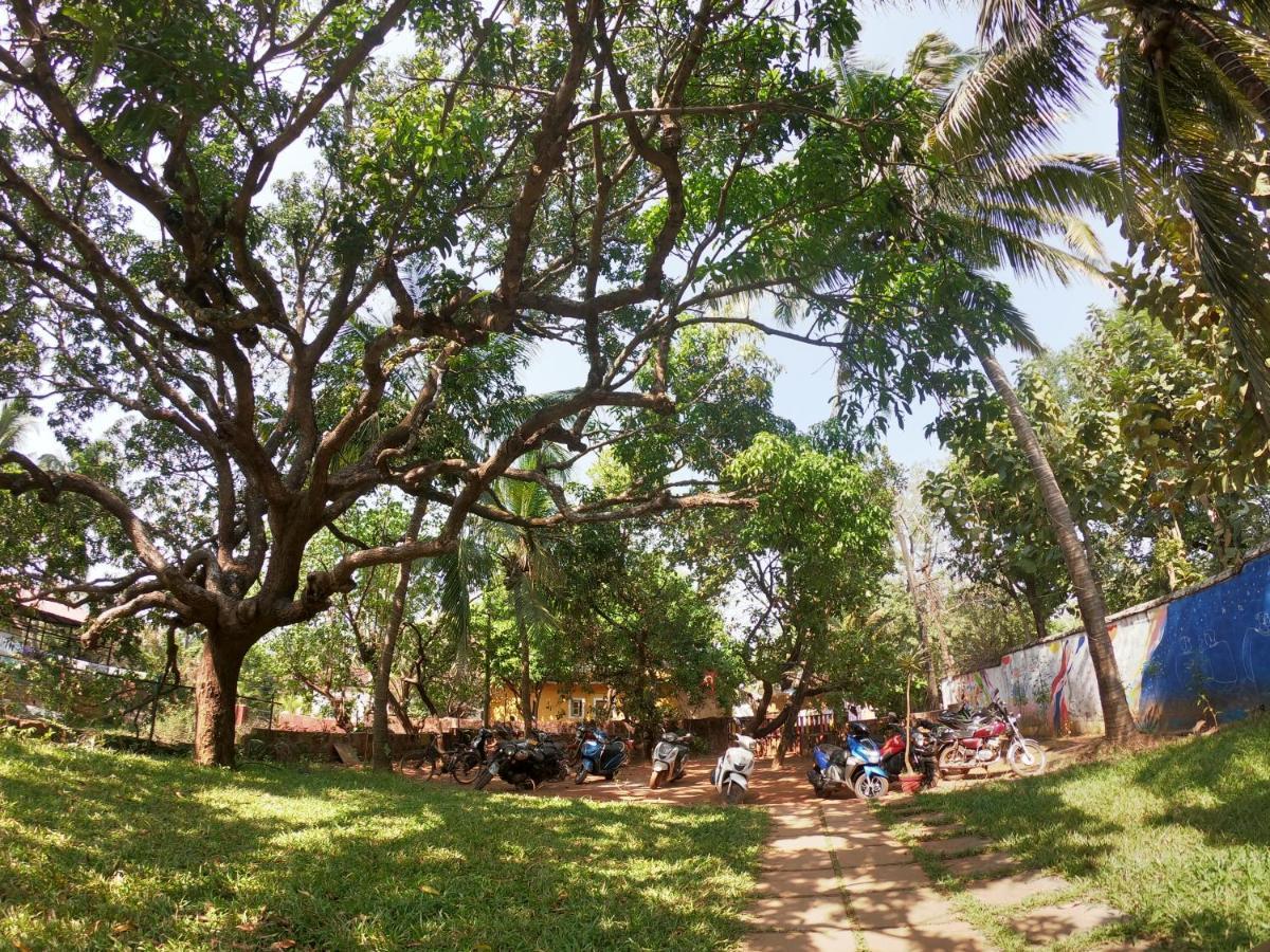 Gaia Hostels Anjuna Ngoại thất bức ảnh